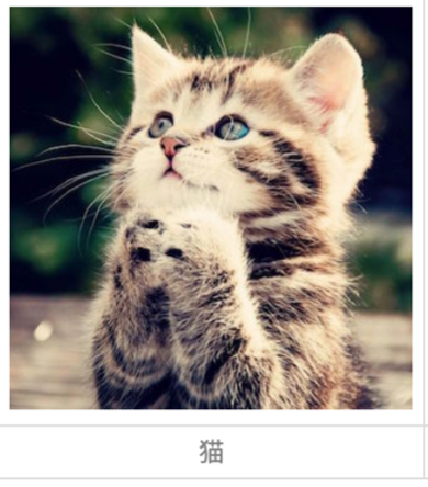 image-20201101132624376