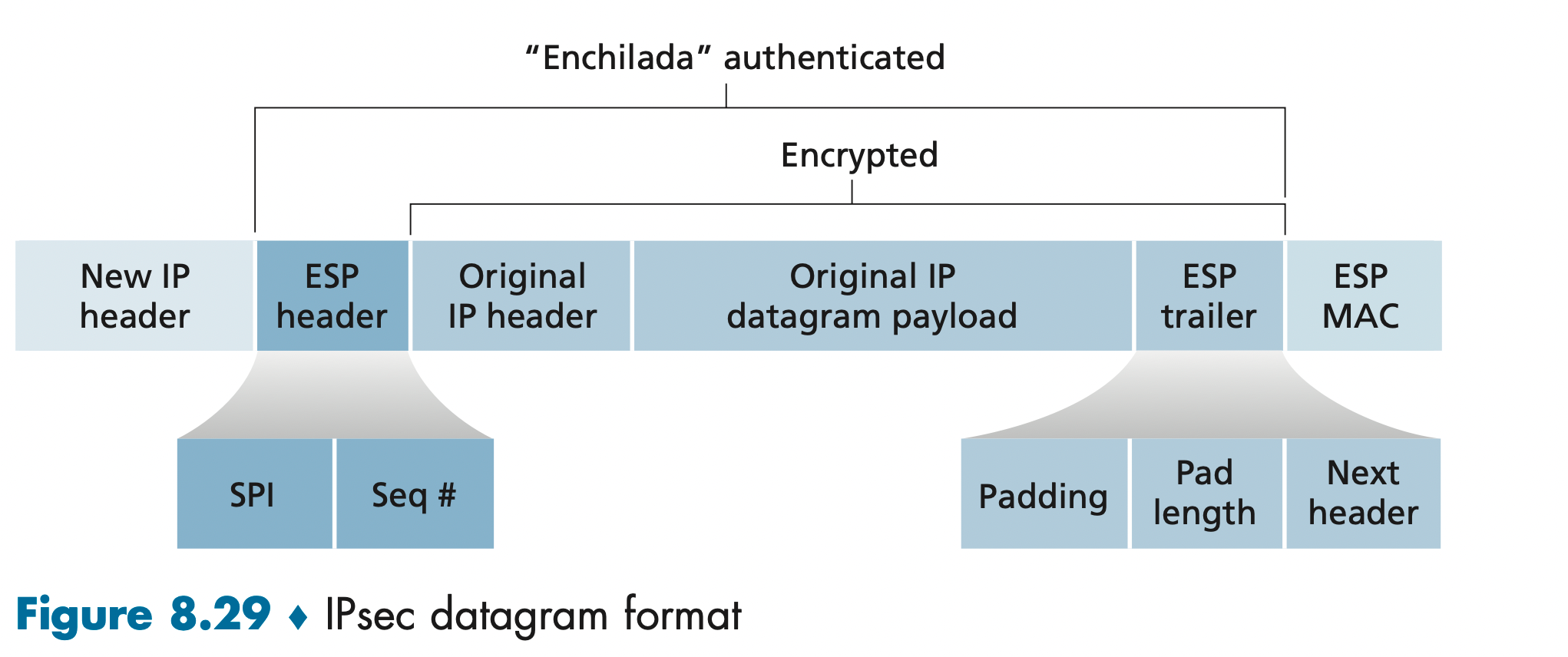 IPsec Datagram