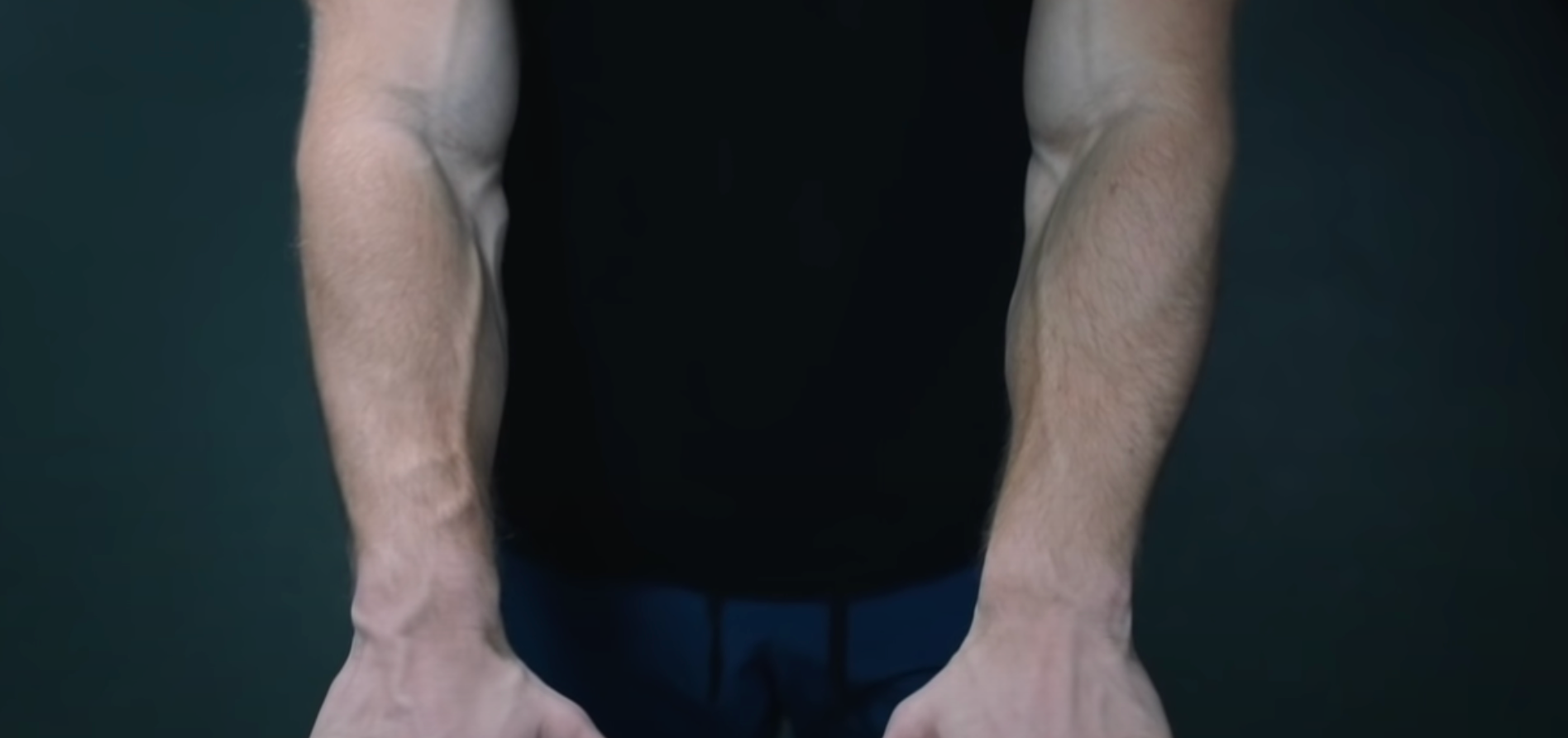 forearms posterior muscles