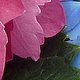 flower area